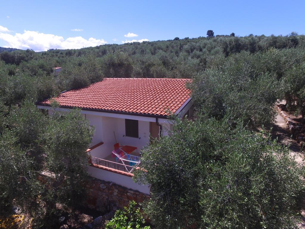 Zagare Residence Rodi Garganico Dış mekan fotoğraf