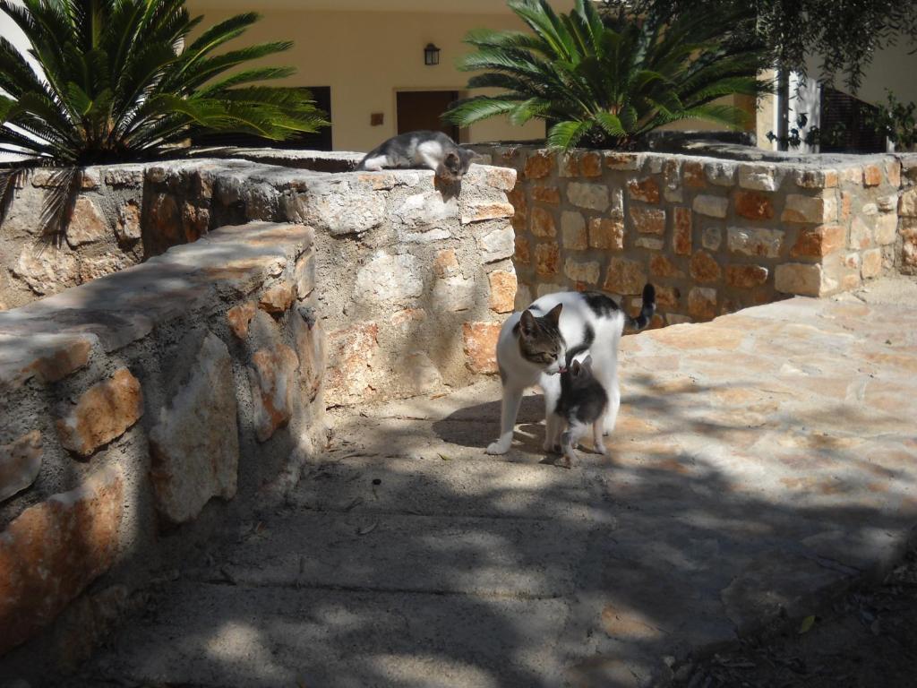 Zagare Residence Rodi Garganico Dış mekan fotoğraf
